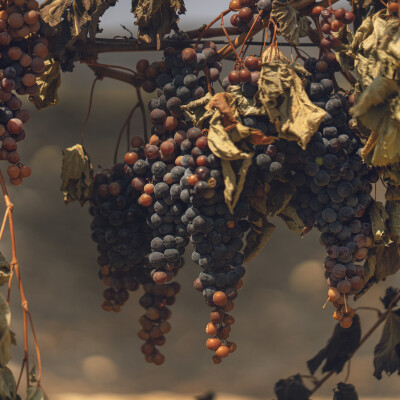 Ce qui nous lie dans l'épreuve : Hélène Sandragné raconte l'Ogre des Corbières ! cover