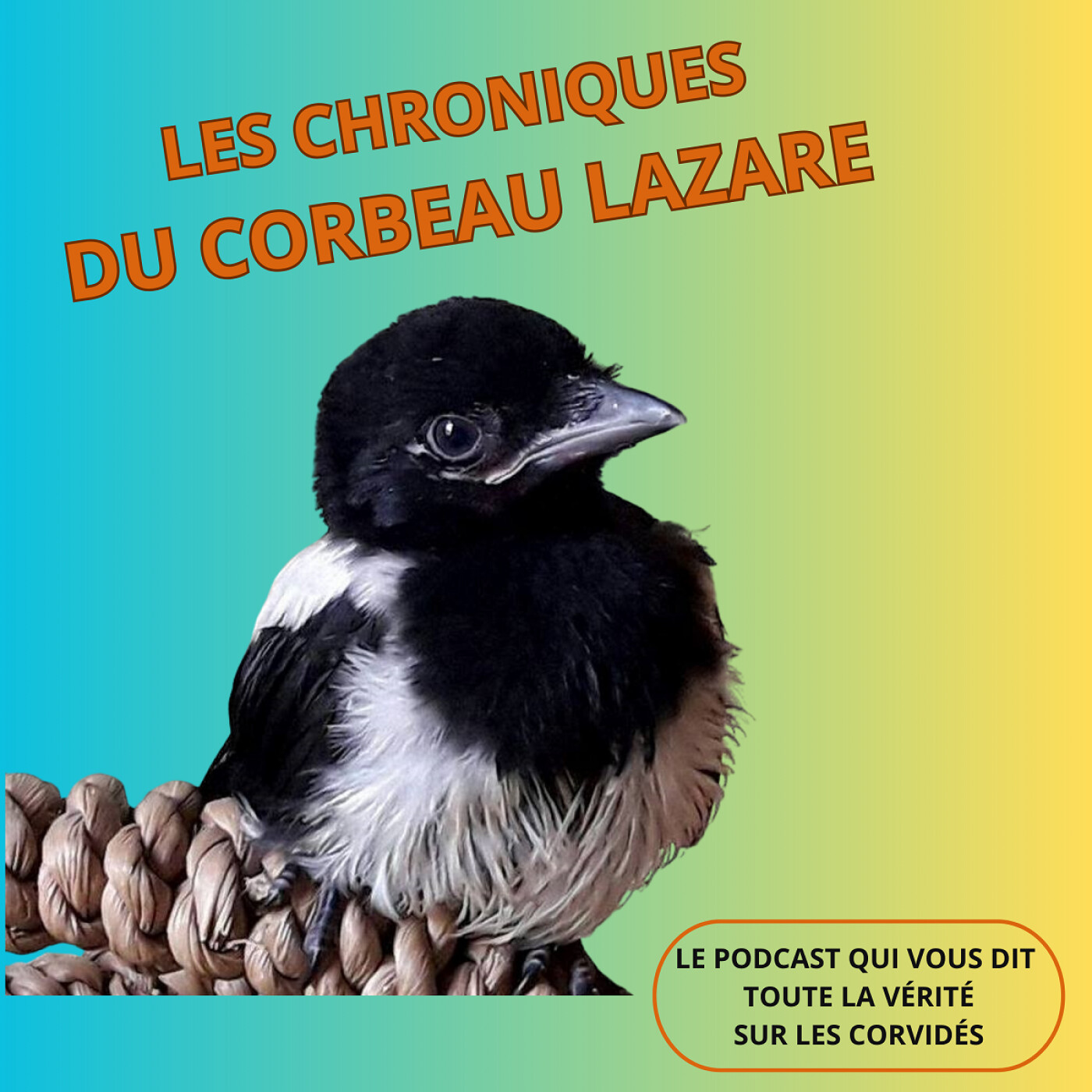 Les chroniques du corbeau Lazare