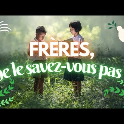 Parole et Évangile du jour | Dimanche 2 Juillet • Soutenir le Seigneur cover