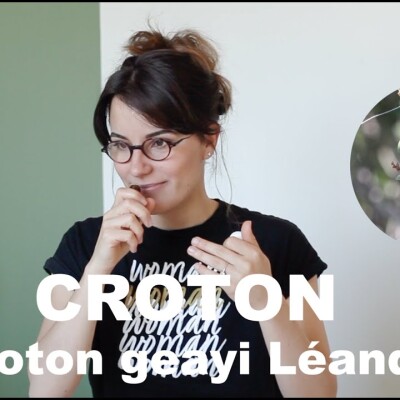 L'huile essentielle de Croton geayi Léandri : contre l'auto sabotage cover