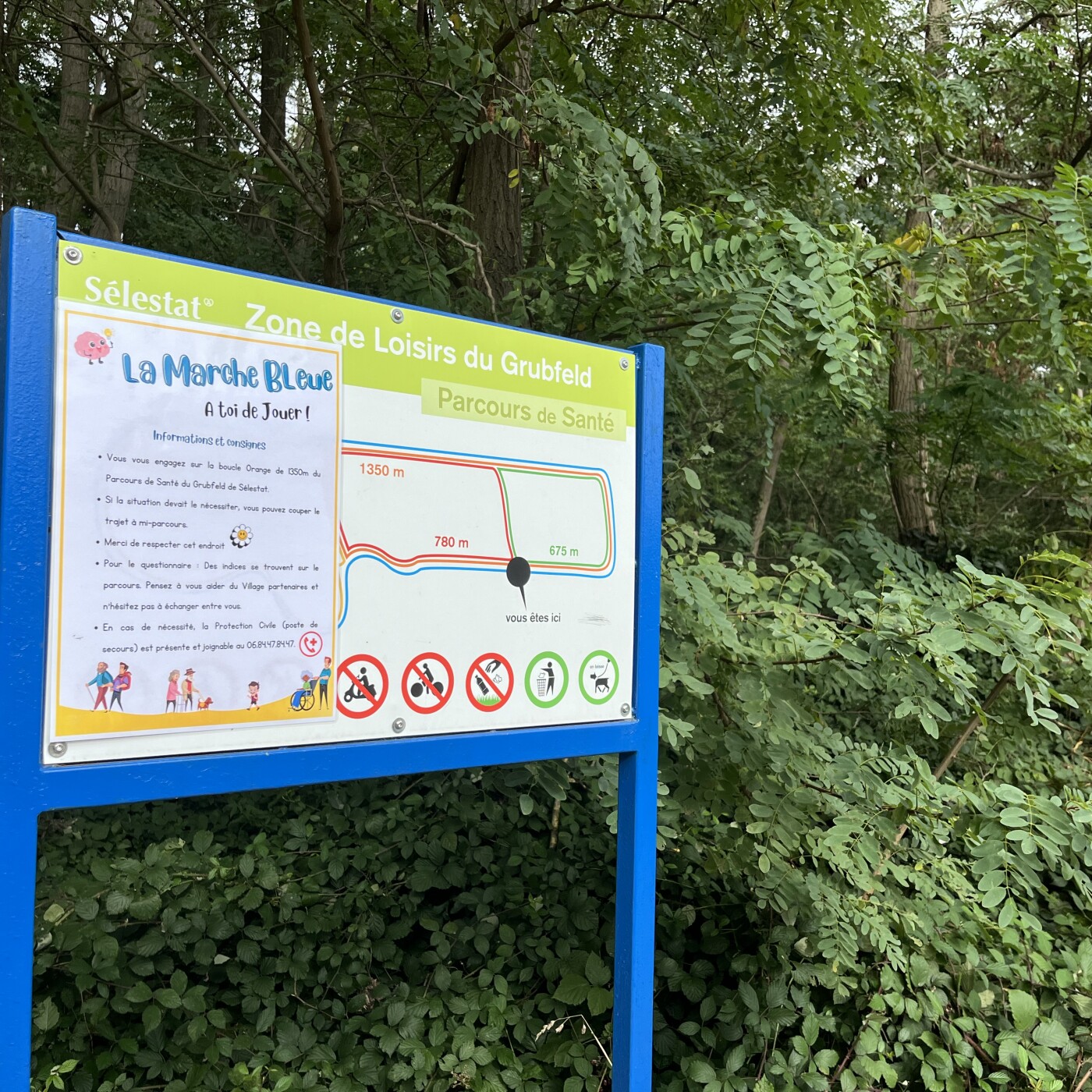 Marche bleue à Sélestat : Cathy Oberlin, adjointe au Maire chargée du Sport episode artwork