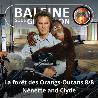S07E120 Les Orangs-Outans 8/8 : Nénette and Clyde (Emmanuelle Grundmann) cover