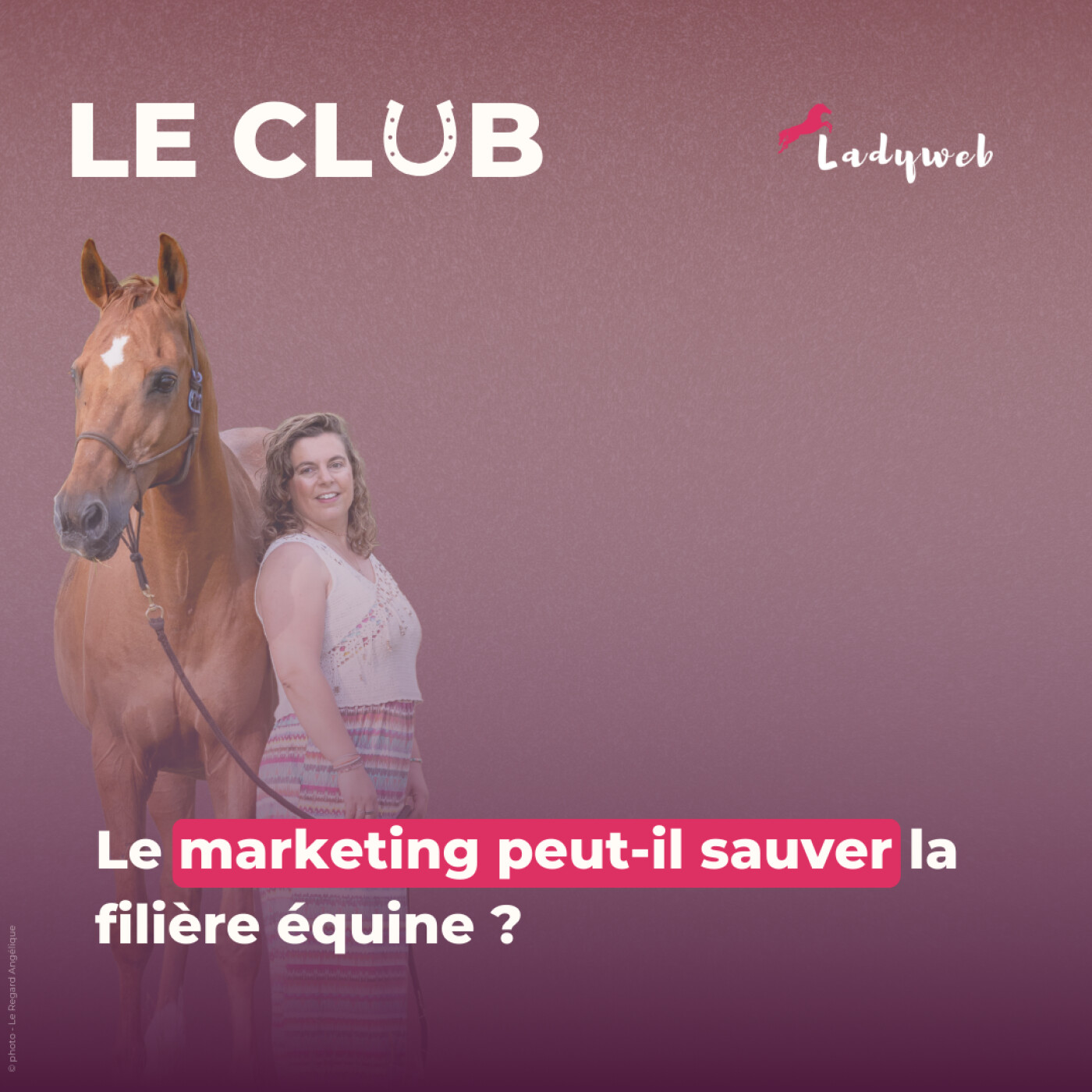 Ep.34 – Le marketing peut-il sauver la filière équine ? Ep.34 – Le marketing peut-il sauver la filière équine ?