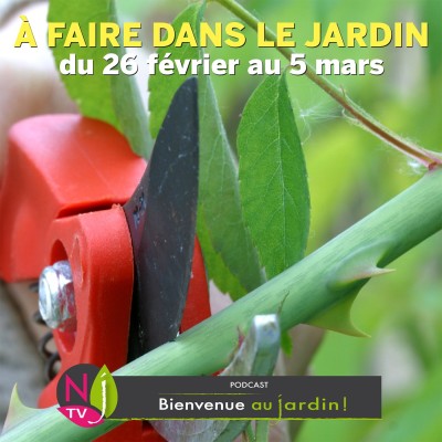 QUE FAIRE DANS LE JARDIN DU 26 FÉVRIER AU 5 MARS ? cover