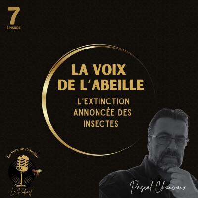 #7 - L'extinction annoncée des insectes cover
