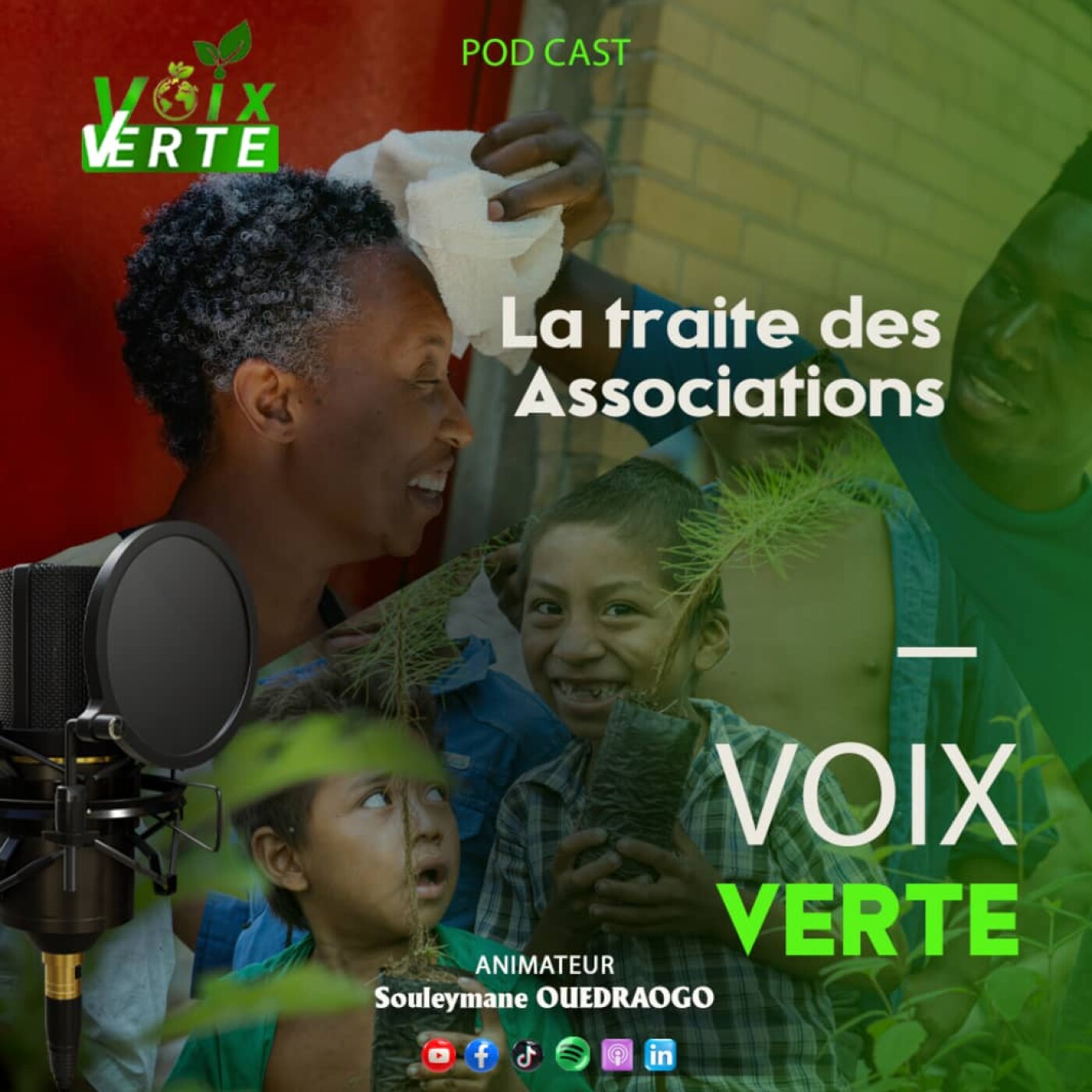 Voix Verte