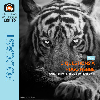LE QUIZ - S810 - 5 QUESTIONS À HUGO HEBBE cover