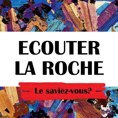 [Le saviez-vous #2] Elodie Soldani - Les embryons de certains requins sont cannibales cover
