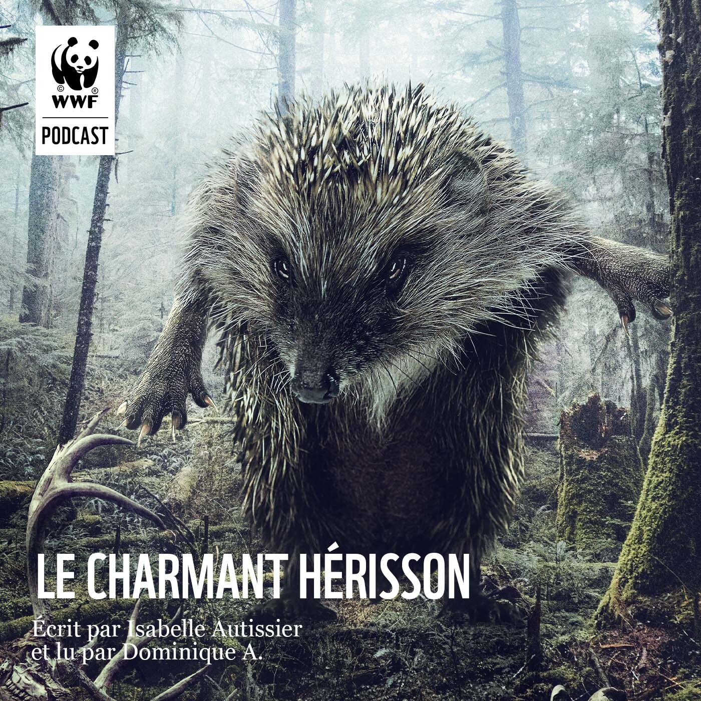 Le Charmant Hérisson