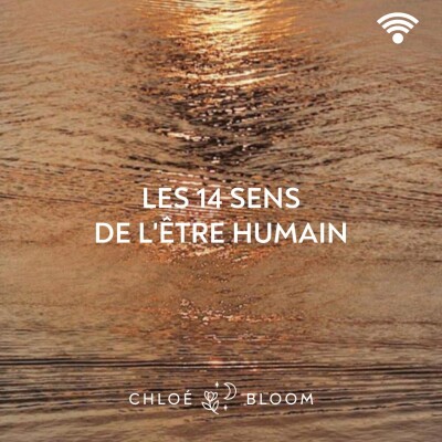Les 14 sens de l'être humain cover