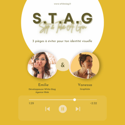 20 - 3 pièges à éviter pour ton identité visuelle - avec Vanessa, graphiste cover