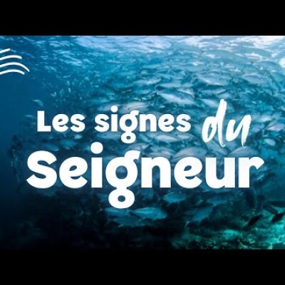 Parole et Évangile du jour | Lundi 21 juillet • Jonas & Salomon : il y a ici bien plus qu'eux cover