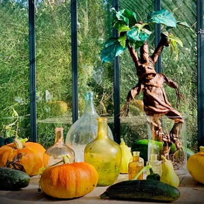 Et si vous frissonniez en famille ? cover