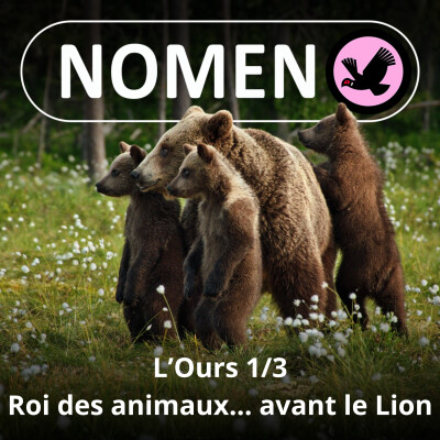 S01E41 L'Ours 1/3 : Au Moyen-Âge, bien avant le Lion, l'Ours était le roi des animaux cover