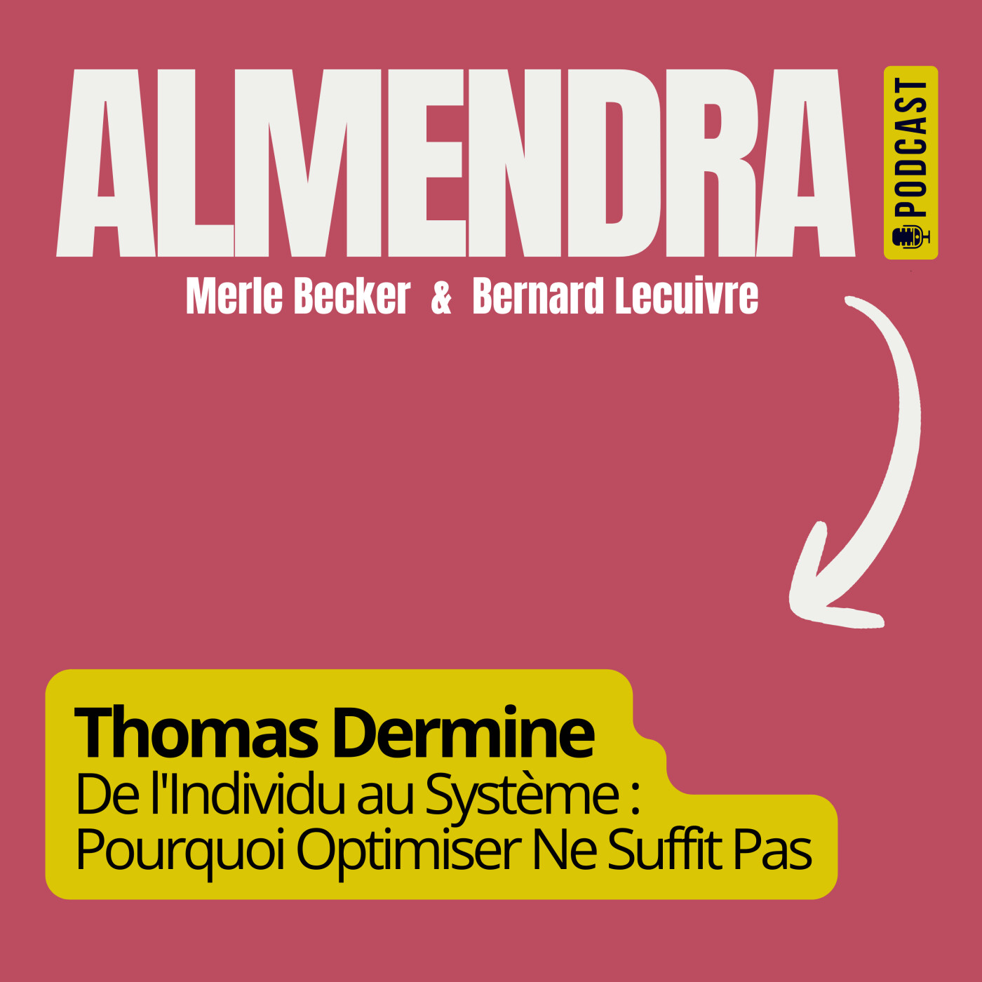 FR - Thomas Dermine : De l'Individu au Système — Pourquoi Optimiser Ne Suffit Pas episode artwork