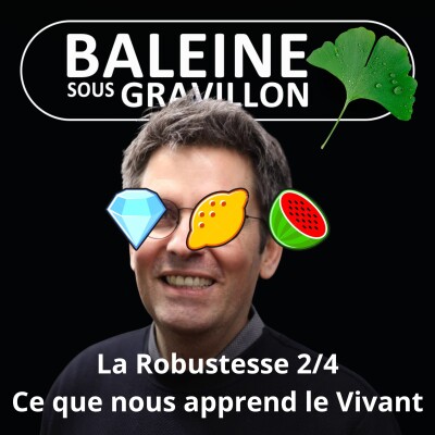 S07E02 La Robustesse 2/4 : Les leçons du Vivant (Olivier Hamant) cover