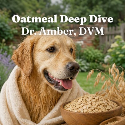 60-Second Ingredient Deep Dive with Dr. Amber, DVM: Oatmeal for Dogs and Cats Shampoo cover