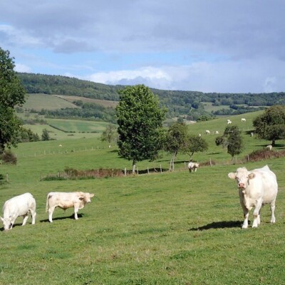 Agriculture et biodiversité - Perspectives de l’agroécologie cover