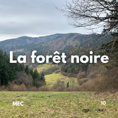 En immersion dans la Forêt Noire cover