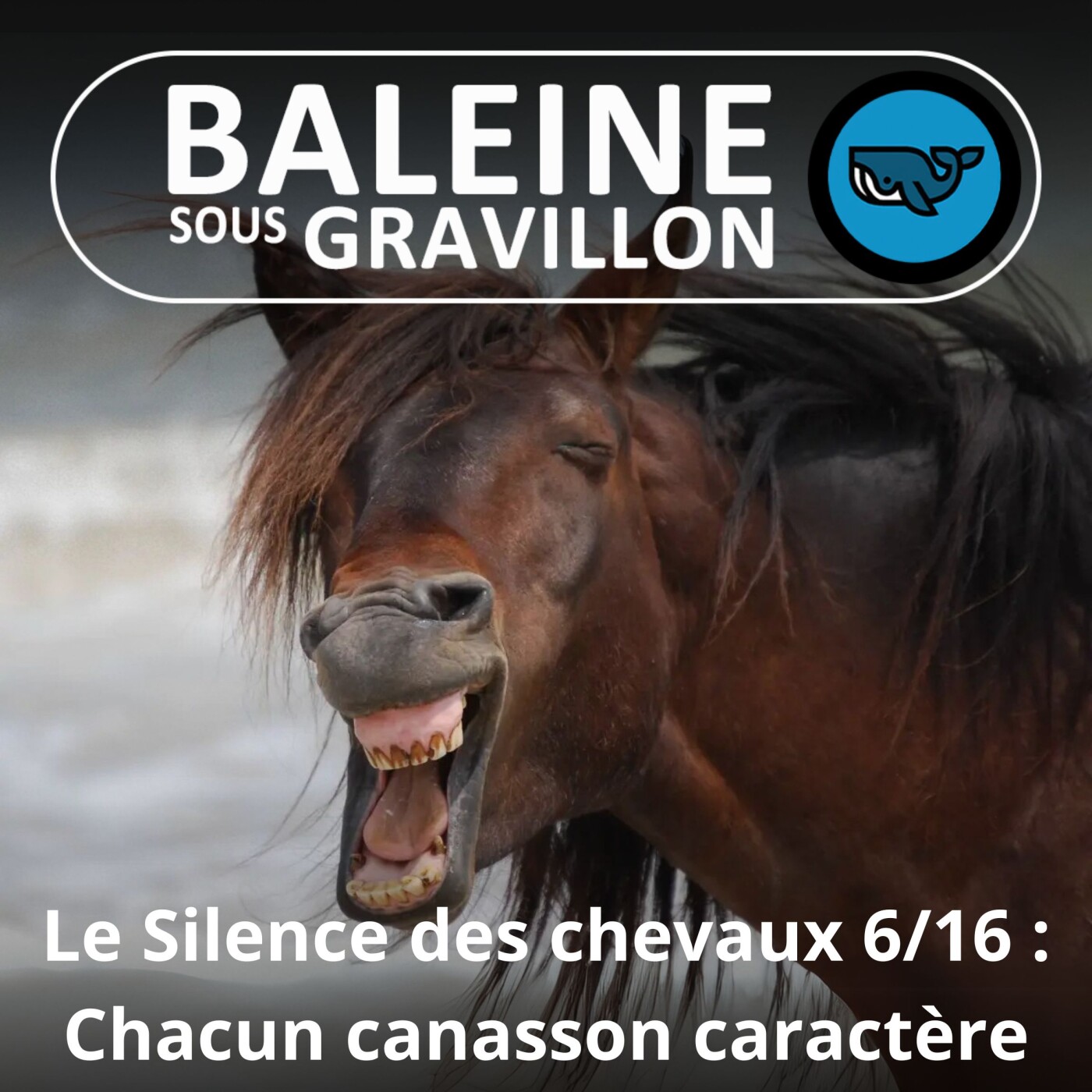 S06E40 Le Silence des chevaux 6/16 : Personnalités et copinages