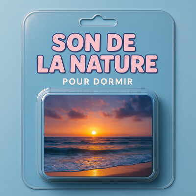 1 Heure Bruit Blanc pour DORMIR 🐚 Mouettes le long d'une plage silencieuse | ASMR pour le sommeil cover