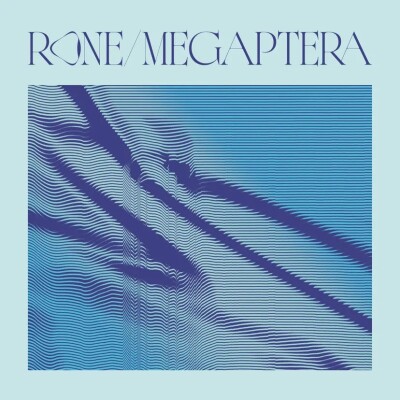 FG MUSIC STORY QUELQUES ACTUALITÉS MUSICALES : RONE ET SON PROJET MEGAPTERA cover