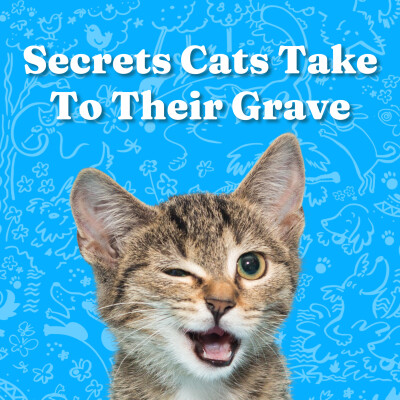 Secrets Cats Take To Their Grave cover
