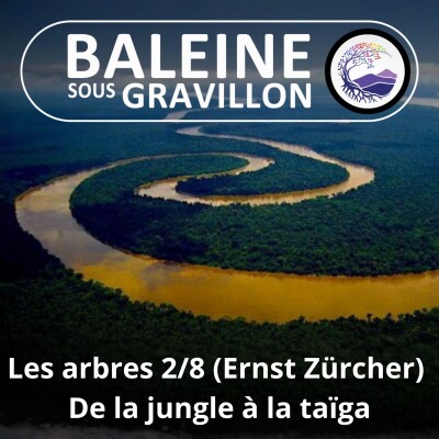 S03E81 Les arbres 2/8 : De l'Amazonie à la forêt boréale (Ernst Zürcher) cover