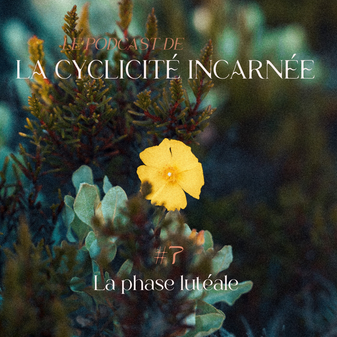 Cyclicité Incarnée
