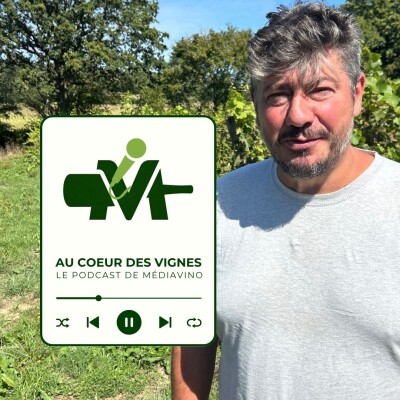 Normandie I Sébastien Arnaud, Vignoble du Petit Neuville, de la cave à la vigne cover