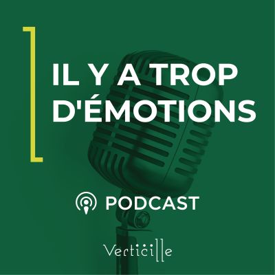 Il y a trop d'émotions cover