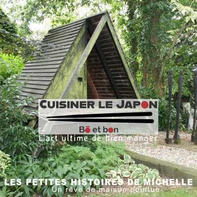 LES PETITES HISTOIRES DE MICHELLE - Un rêve de maison pointue cover