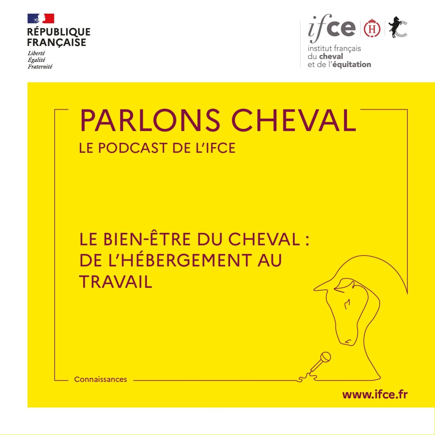 Ép. 5 | Le bien-être du cheval : de l'hébergement au travail - Alice Ruet & Christine Briant