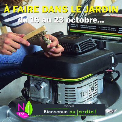 À FAIRE DANS LE JARDIN DU 16 AU 23 OCTOBRE cover