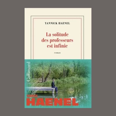 Yannick Haenel - La solitude des professeurs est infinie cover