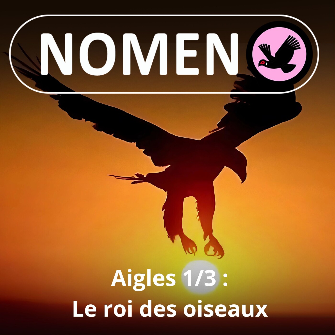 S01E02 De l'aigle à l'aiglefin en passant par Arnaud et le capitaine Haddock!