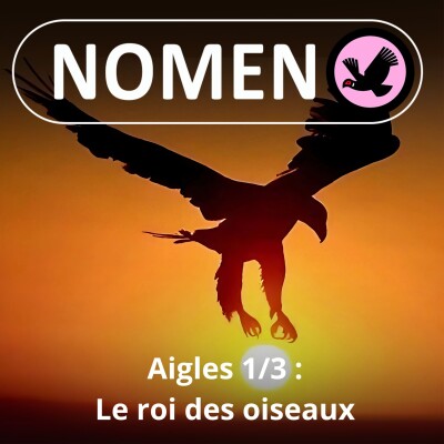 S01E02 De l'aigle à l'aiglefin en passant par Arnaud et le capitaine Haddock! cover