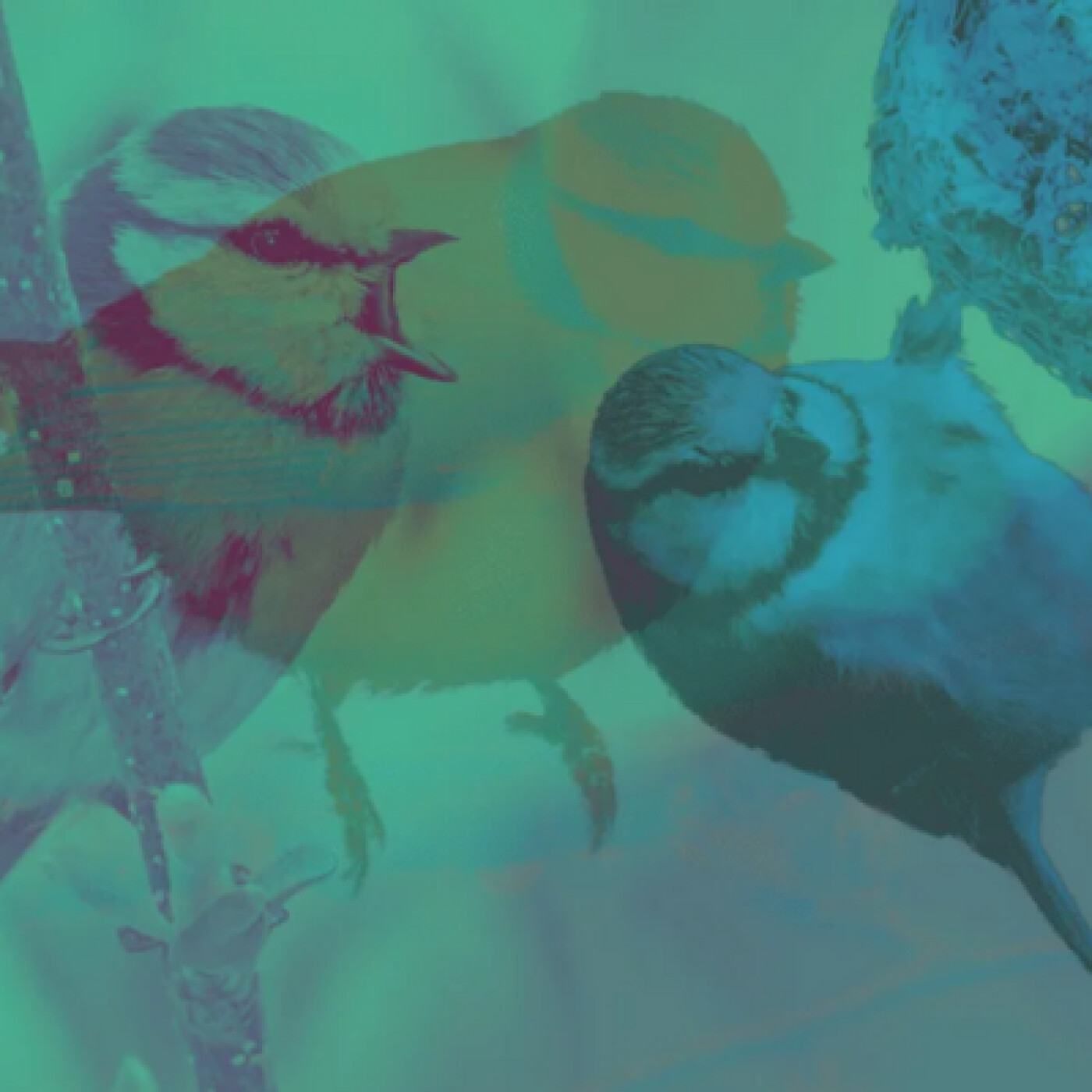 Olimpia Lombardi - Et si chaque science avait son propre monde ?