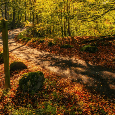 Lorraine : entre Histoire et nature cover