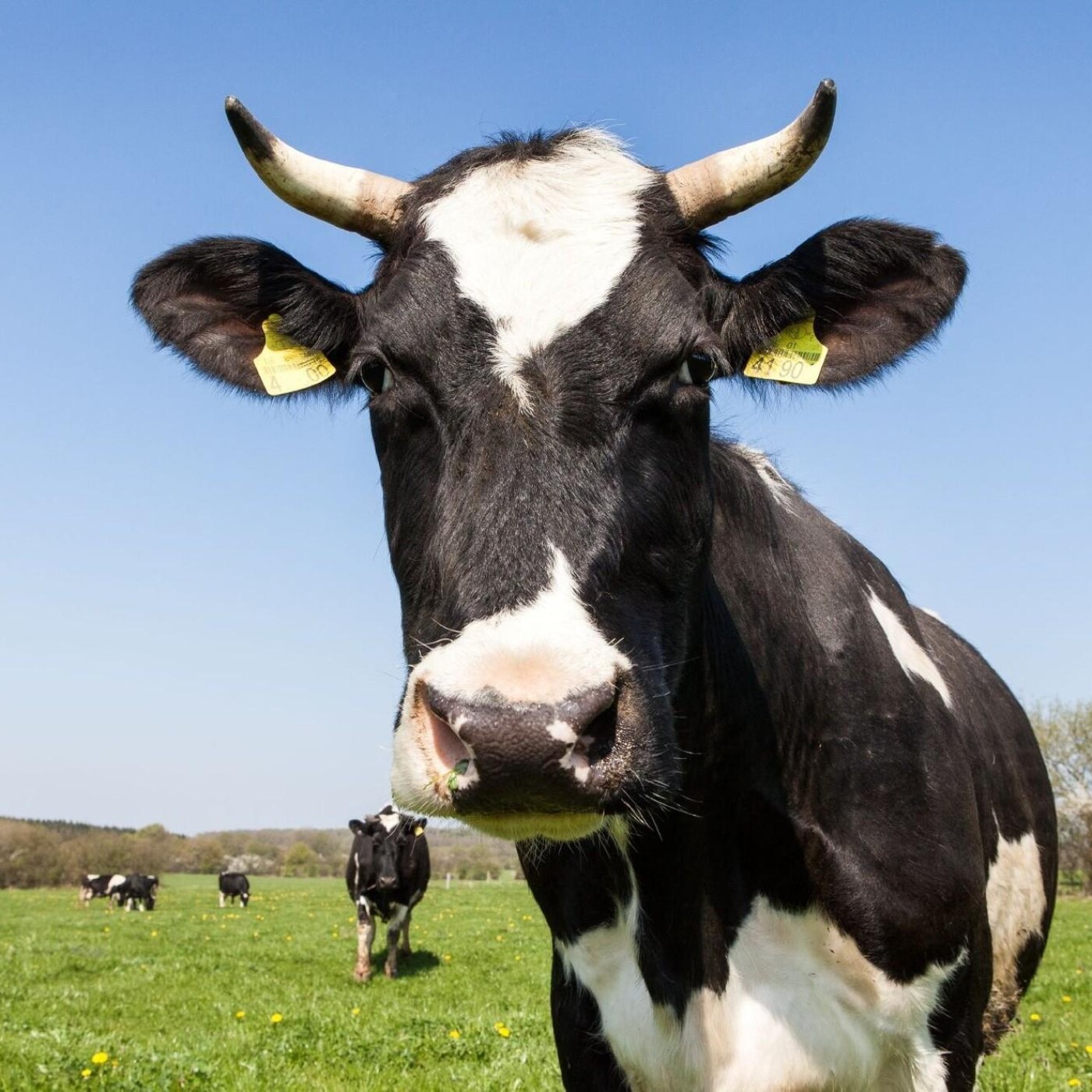Entrepreneurs  & Agriculteurs dans nos régions