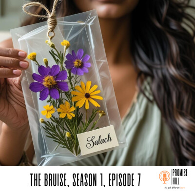 The Bruise, Season 1, episode 7 cover