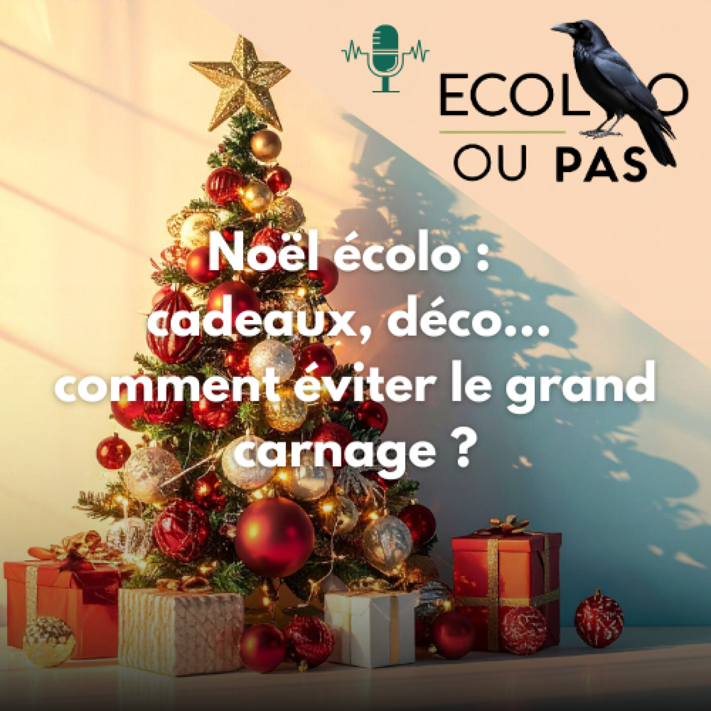 Ecolo Ou Pas ?