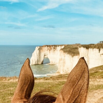 A dada à Étretat ! cover