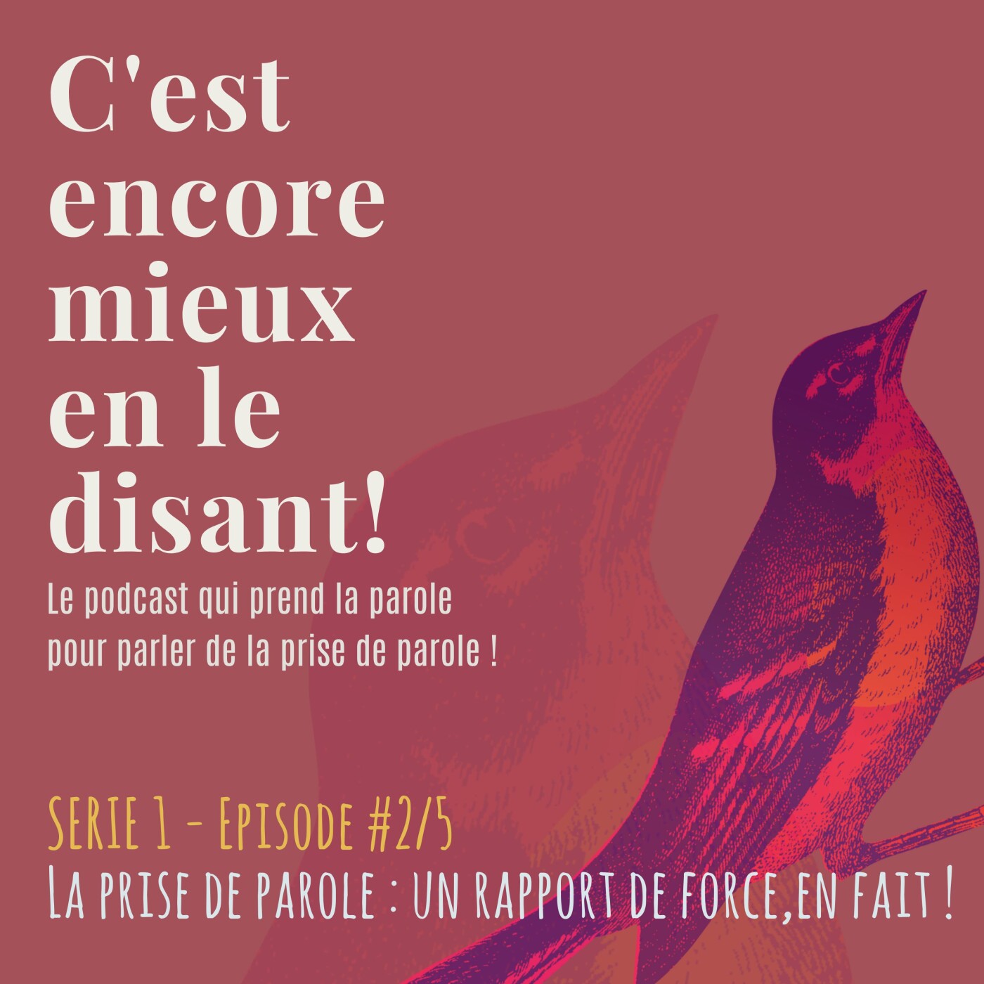 Serie 1- Episode 2/5 : La prise de parole : un rapport de force en fait !