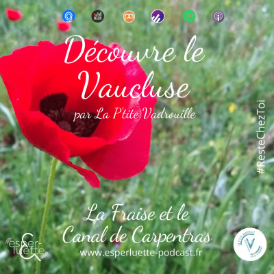 La Fraise et le Canal de Carpentras par la P'tite Vadrouille - Découvre le Vaucluse #ResteChezToi cover