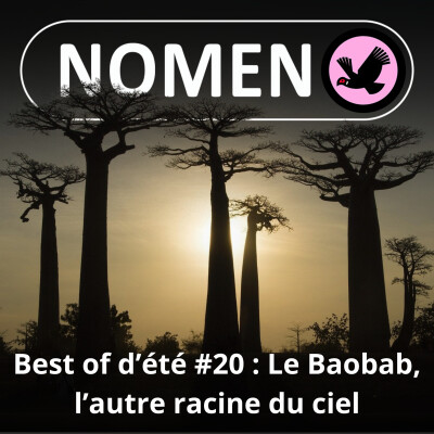 BEST OF D'ÉTÉ #20 : Le Baobab, les autres racines du ciel cover