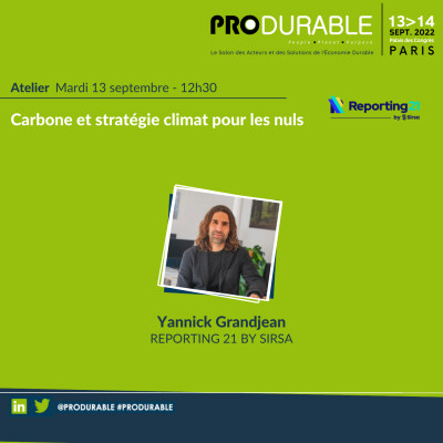 Reporting 21 - Carbone et stratégie climat pour les nuls cover