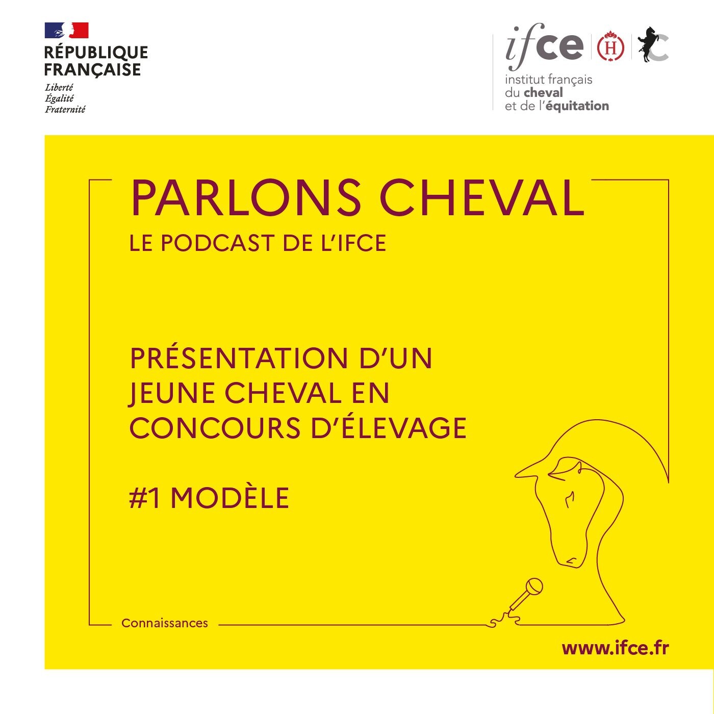 Ép. 1 | Présentation d'un jeune cheval en concours d'élevage - #1 Modèle - Patrick Pratlong
