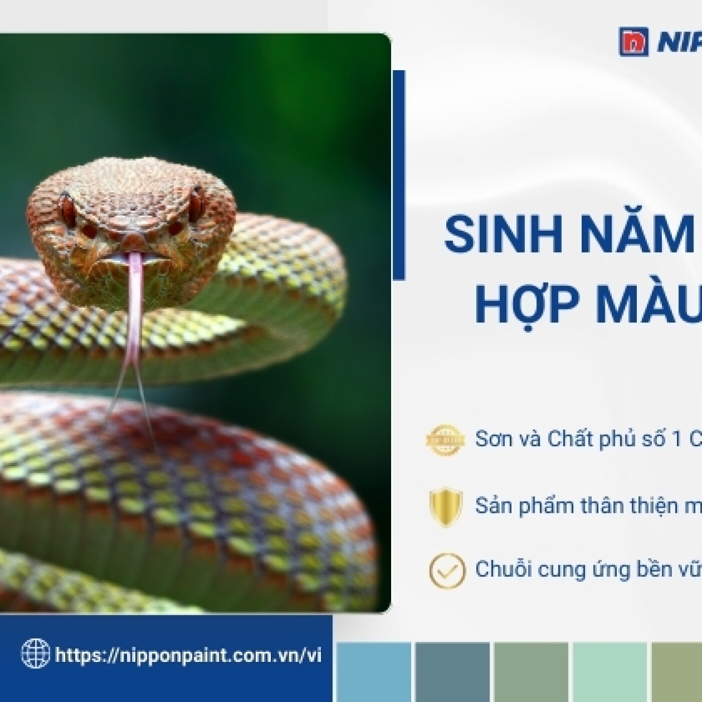 1977 hop mau gi episode artwork