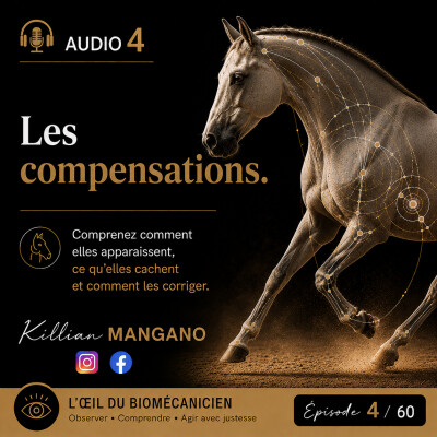 AUDIO 4 - Les compensations cover